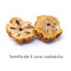 Japamala de Rudraksha 108 cuentas autenticas de 5 gajos + Pulsera - Imagen 2
